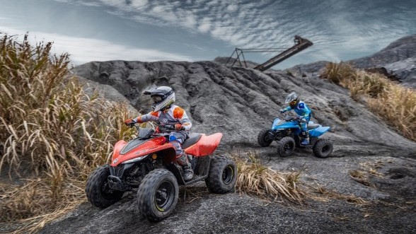 cfmoto cforce 110