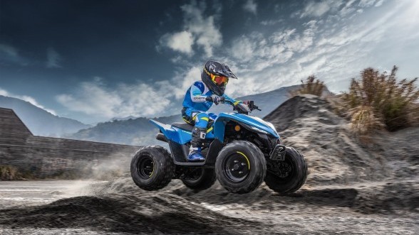квадроцикл cfmoto cforce 110