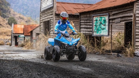cfmoto cforce 110 на деревенской дороге